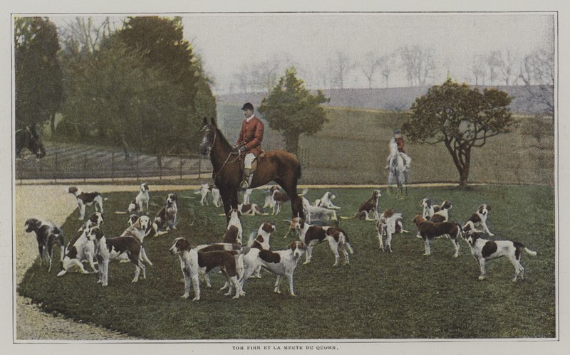 Tom Firr ve Quorn Hunt köpekleri, Leicestershire (renkli fotoğraf) by French Photographer