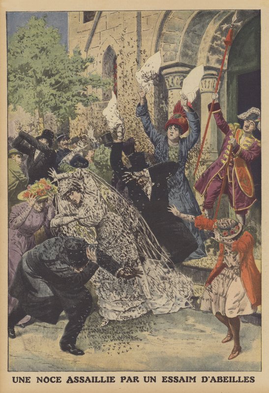 Arı sürüsü tarafından saldırıya uğrayan bir düğün (renkli taş) by French School