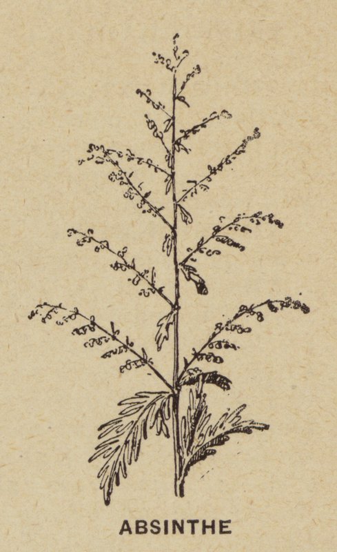 Absinthe (gravür) by French School