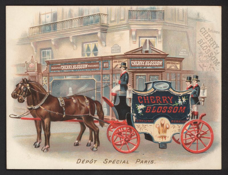 Cherry Blossom parfümü (chromolitho) için reklam by French School