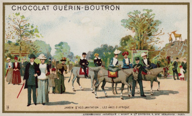 Afrika eşekleri, Jardin d'Acclimation, Paris (chromolitho) by French School
