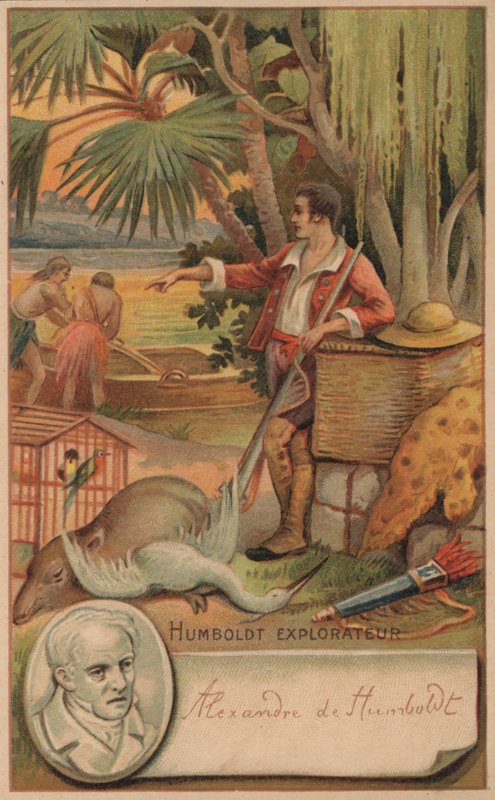 Alexander von Humboldt, Prusyalı coğrafyacı, doğa bilimci ve kaşif by French School