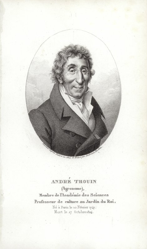 André Thouin by French School