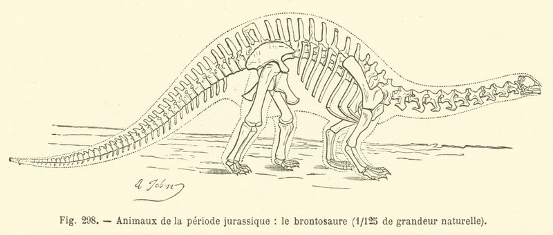 Jura döneminin hayvanları, Brontosaurus (gravür) by French School