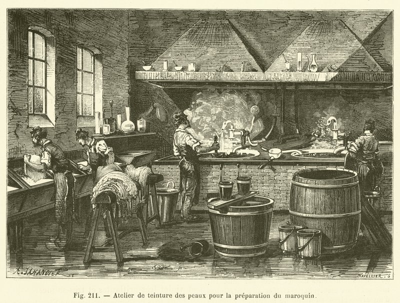 Fas (gravür) hazırlanması için cilt boyama atölyesi by French School