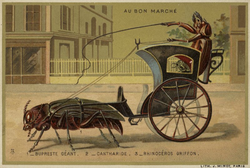 Antropomorfik böcekleri içeren Au Bon Marche kartları by French School