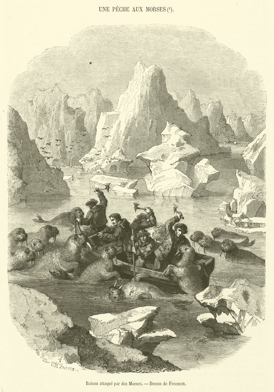 Morses tarafından saldırıya uğrayan tekne (gravür) by French School