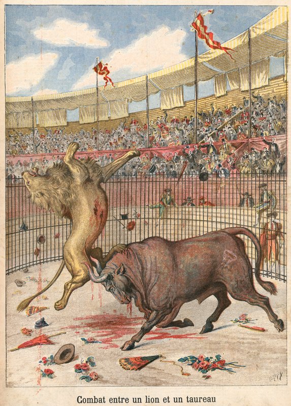 aslan ve boğa arasındaki savaş by French School