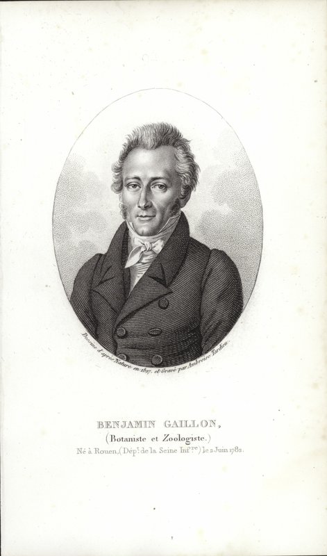 Benjamin Gaillon by French School