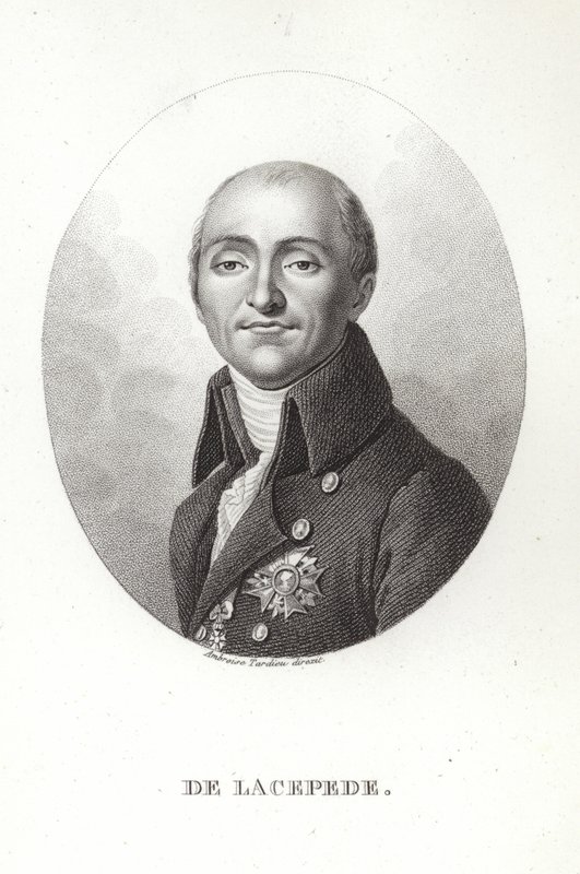 Bernard Germain de Lacepède by French School