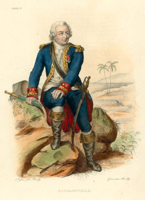 Begonvil (renkli gravür) by French School