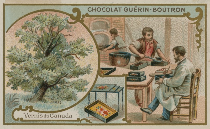 Kanada verniği by French School