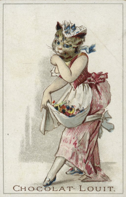 Bir elbise giyen kedi by French School