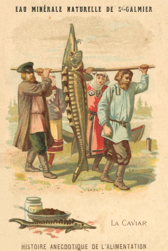 Havyar (kromolitho) by French School