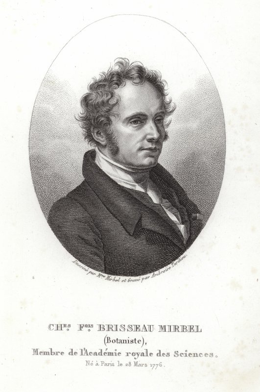 Charles-François Brisseau de Mirbel by French School
