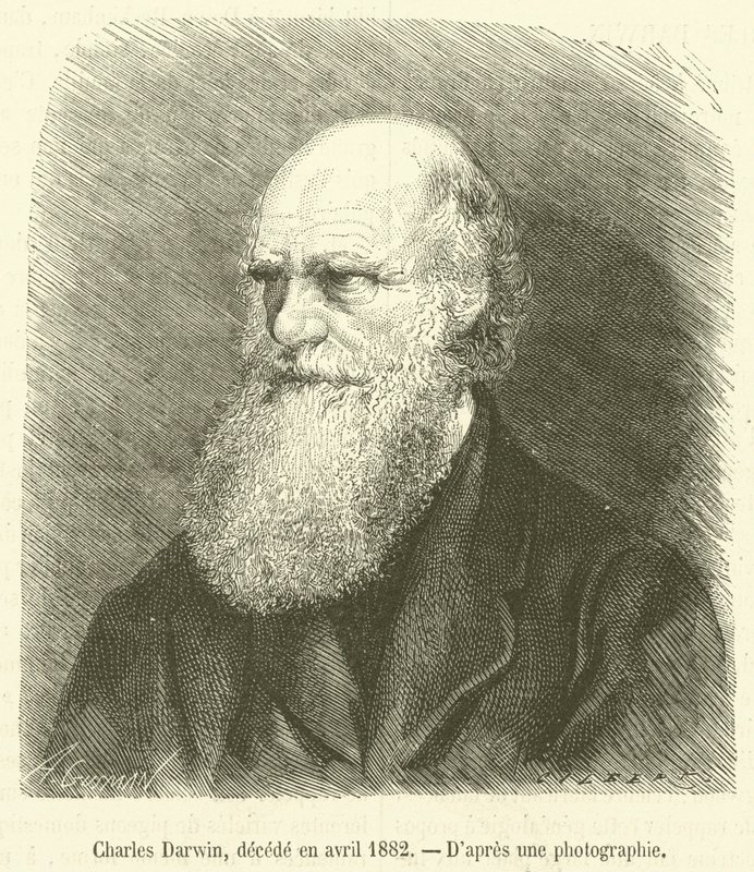 Charles Darwin, decede en nisan 1882 (gravür) by French School