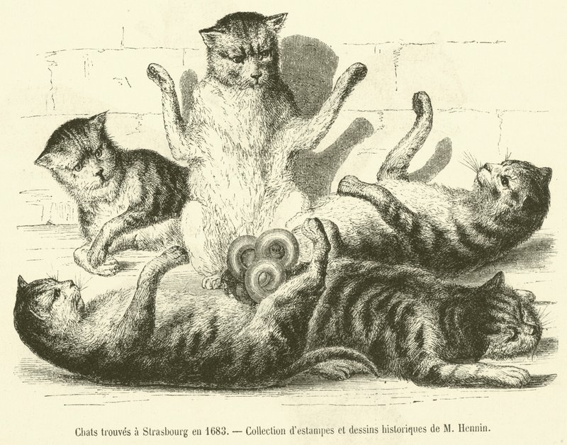1683