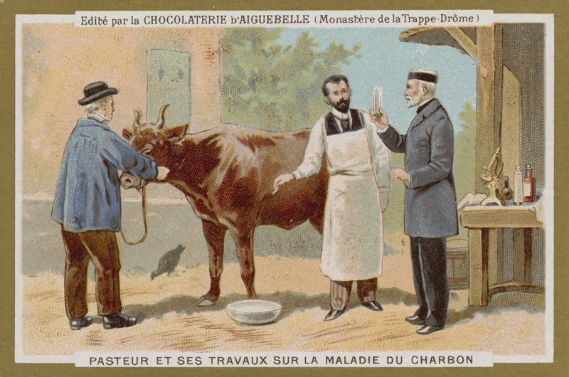 Chocolat dAiguebelle ticaret kartı by French School