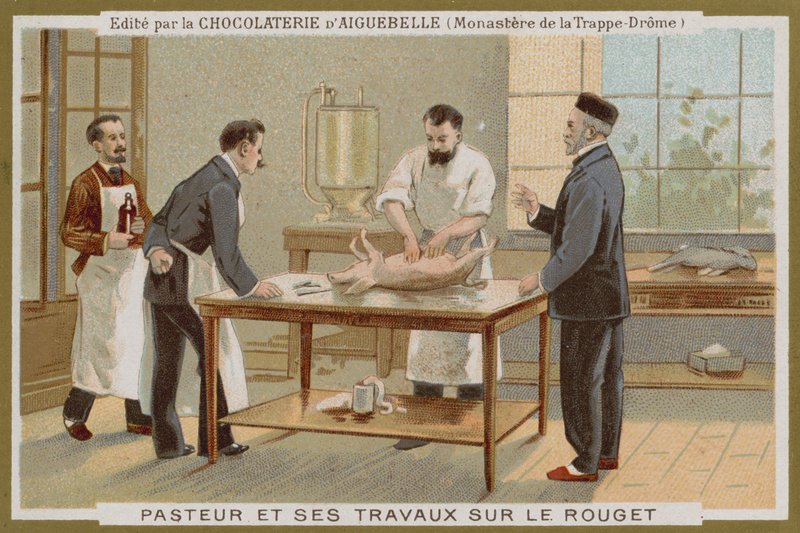 Chocolat dAiguebelle ticaret kartı by French School