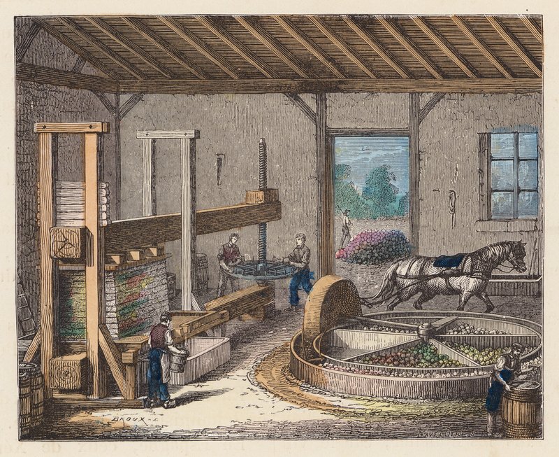 Elma şarabı yapımı (renkli gravür) by French School
