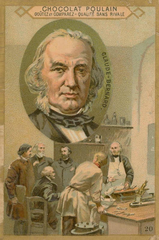 Claude Bernard, Chocolat Poulain ticaret kartı by French School