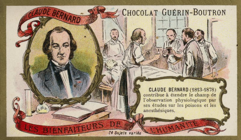 Claude Bernard, Fransız fizyolog (chromolitho) by French School