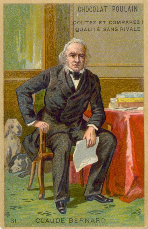 Claude Bernard, Fransız fizyolog by French School