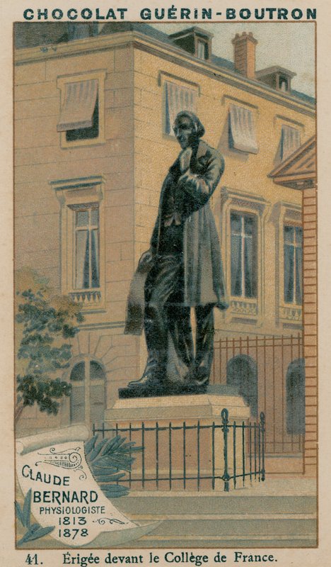 Claude Bernard, Fizyolog, 1813-1878, Erigee, College de France