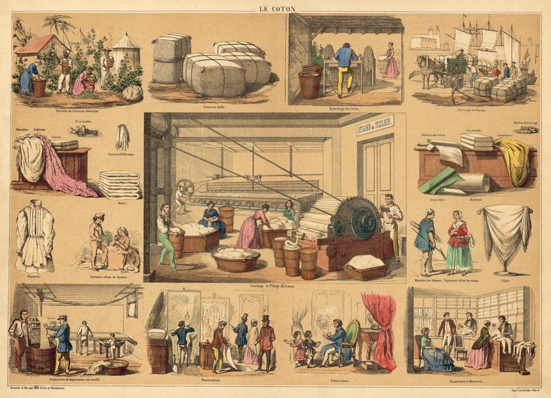 Pamuk (renkli gravür) by French School