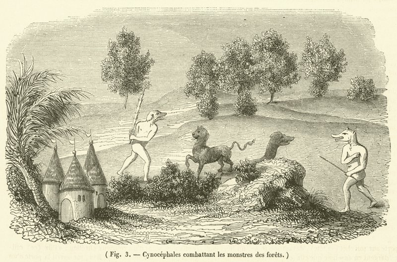 Orman canavarlarıyla savaşan Cynocephales (gravür) by French School