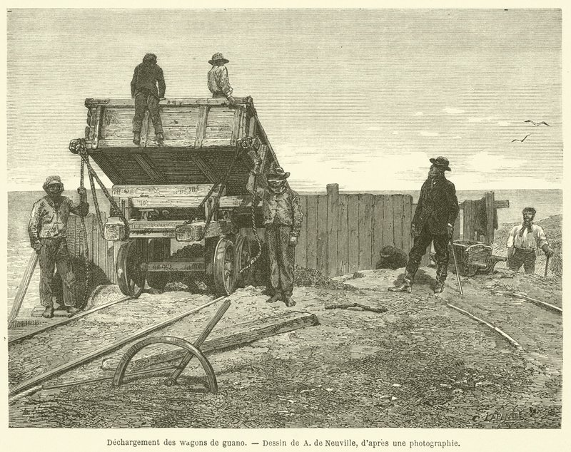 Guano vagonlarının boşaltılması (gravür) by French School