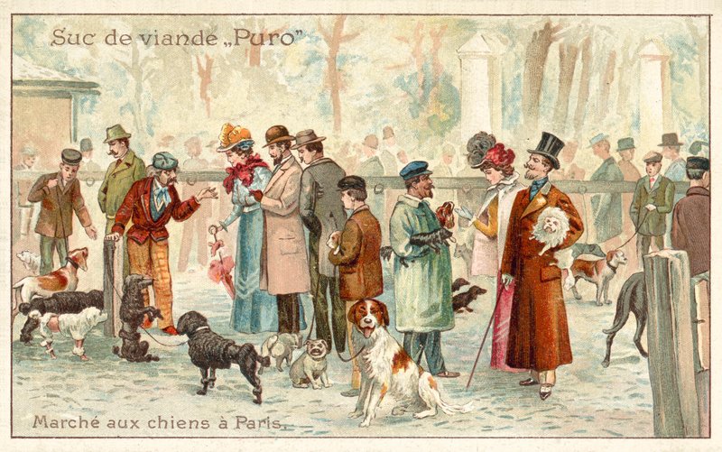 Köpek pazarı, Paris (chromolitho) by French School