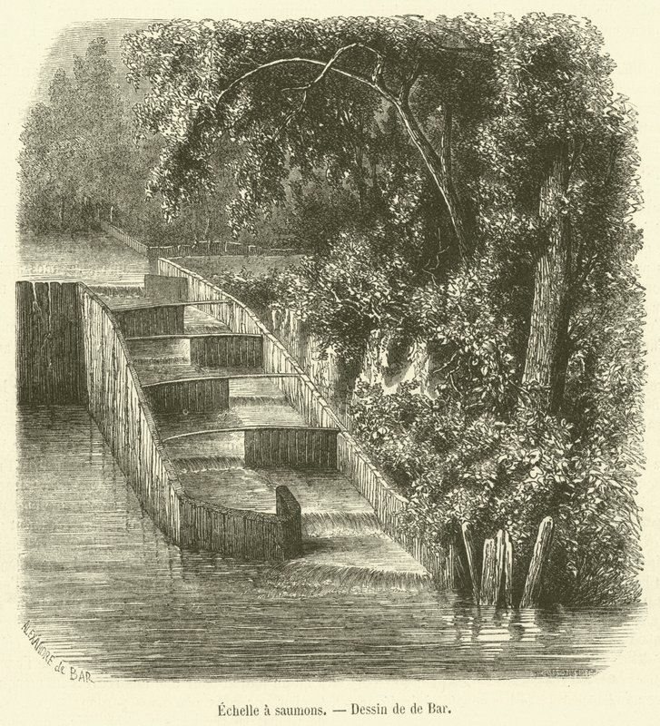 Somon merdiveni (gravür) by French School