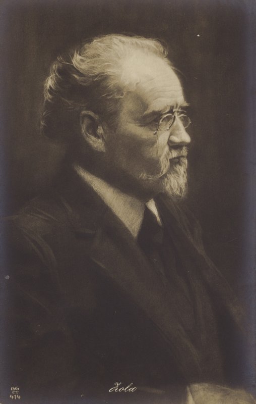 Emile Zola (1840-1902), Fransız romancı, gazeteci ve oyun yazarı (lito) by French School