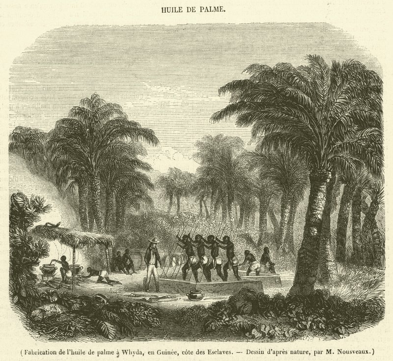 Whyda, Gine, Slave Coast