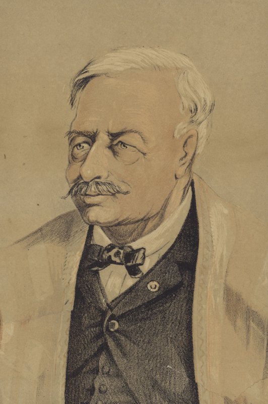Ferdinand de Lesseps (baskı) by French School