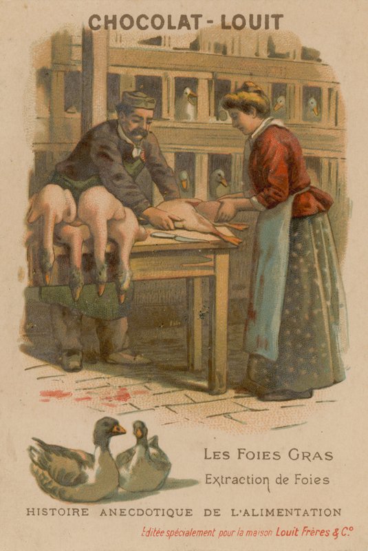 Kaz ciğeri by French School