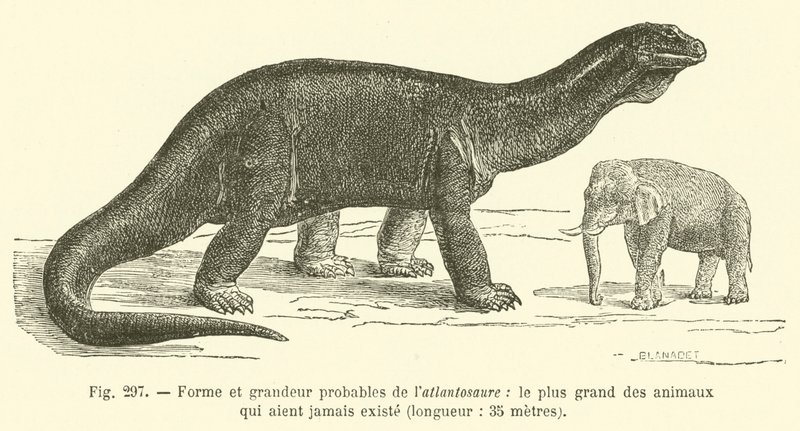 Var olan en büyük hayvan olan atlantosaurus