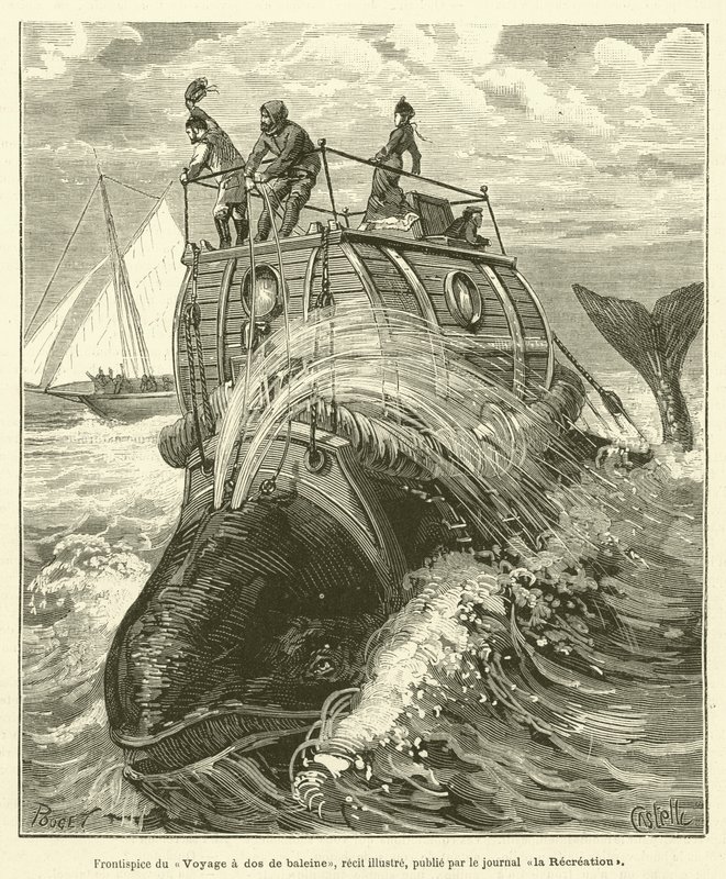 Bir balinanın arkasındaki Voyage