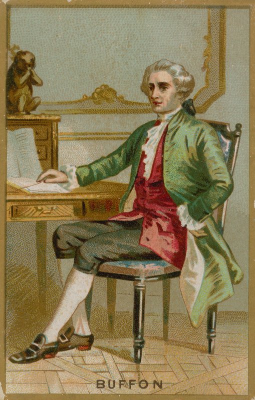 Georges-Louis Leclerc, Buffon Kontu by French School