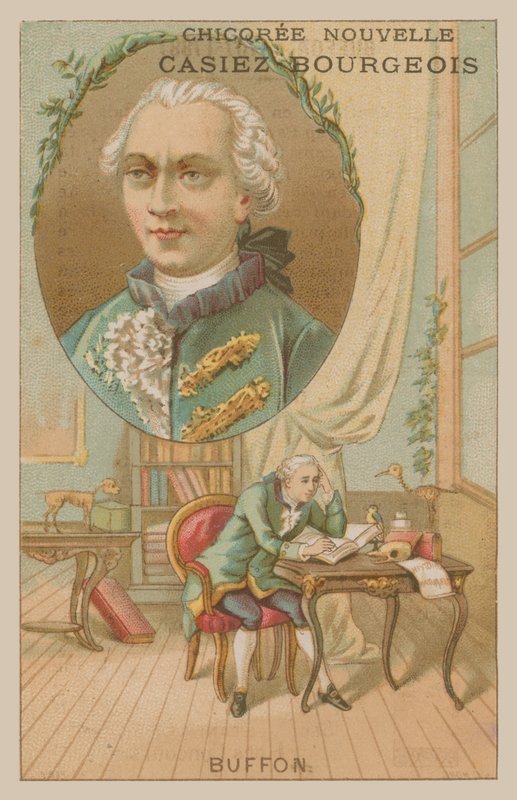 Georges-Louis Leclerc, Comte de Buffon, 18. Yüzyıl Fransız bilim adamı ve yazar by French School
