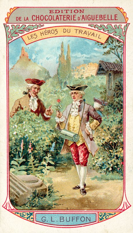 Georges-Louis Leclerc, Comte de Buffon, Fransız doğa bilimci (chromolitho) by French School