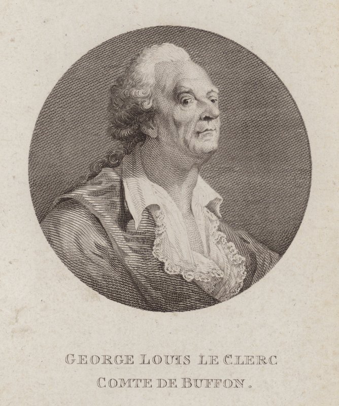 Georges-Louis Leclerc, Comte de Buffon, Fransız doğa bilimci (gravür) by French School