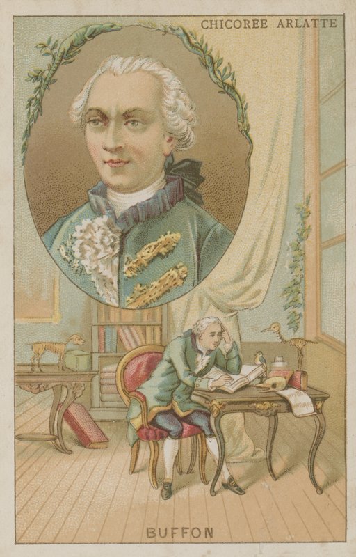 Georges-Louis Leclerc, Comte de Buffon, Fransız doğa bilimci by French School