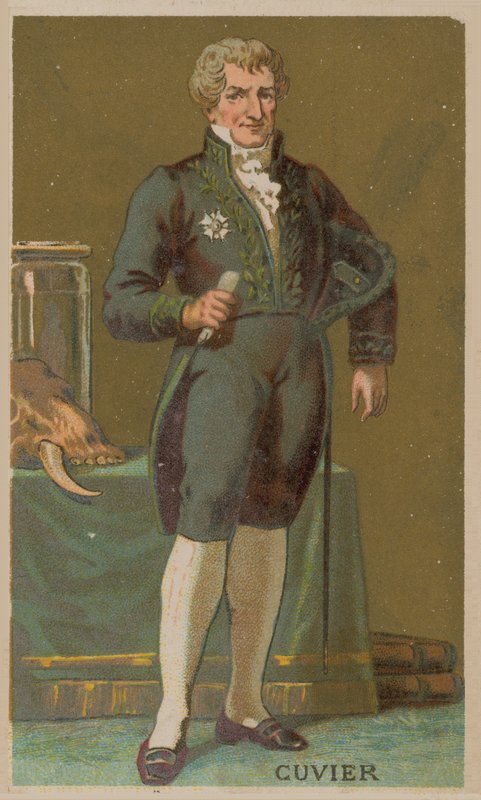 Georges Cuvier, Fransız doğa bilimci ve zoolog (1769-1832) by French School