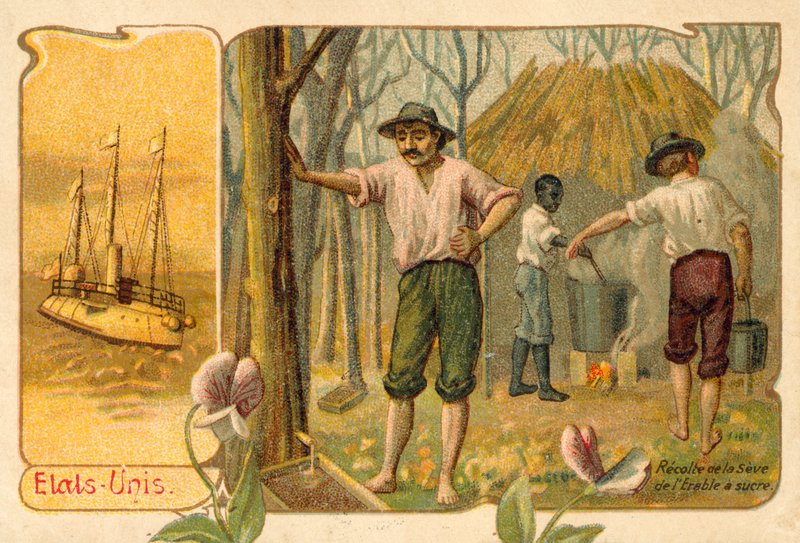 Akçaağaç şurubu yapmak için akçaağaç özsuyu hasadı, Amerika Birleşik Devletleri (chromolitho) by French School