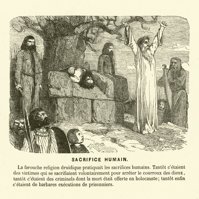 Druidlerin insan kurbanı (gravür) by French School
