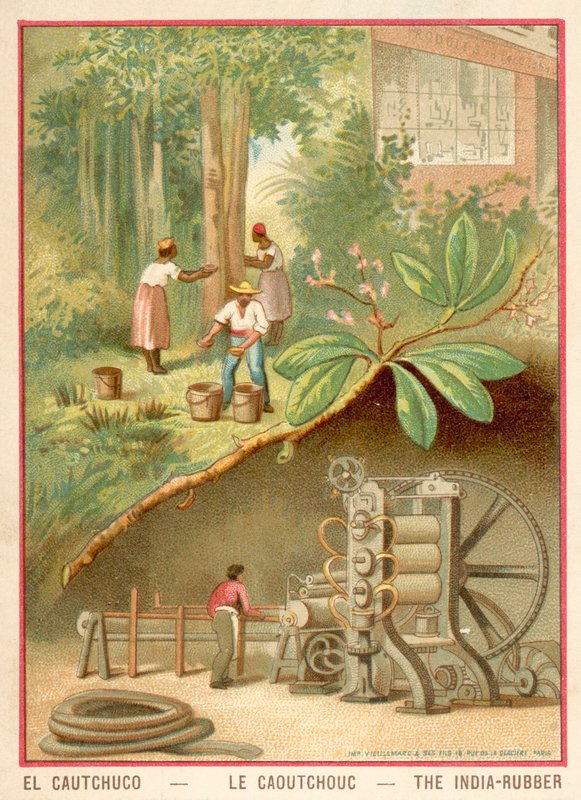 Hindistan kauçuğu (chromolitho) by French School