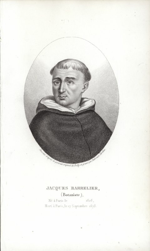 Jaques Bareli by French School