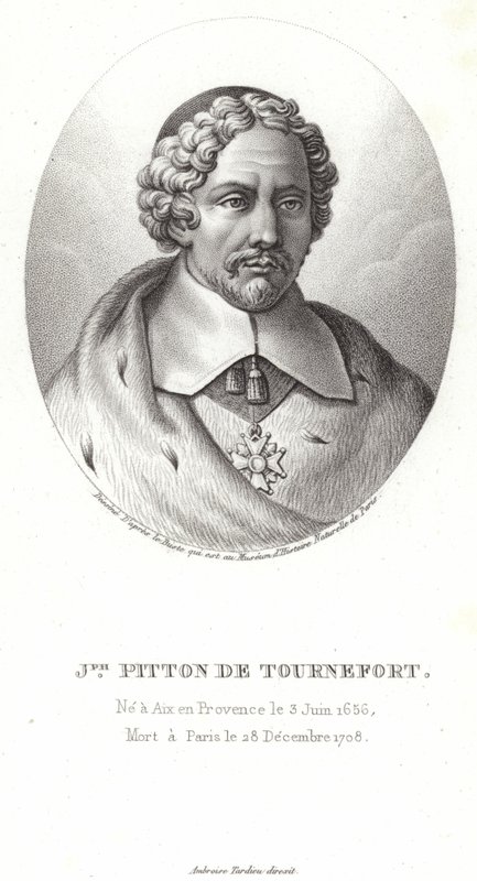 Joseph Pitton de Tournefort by French School